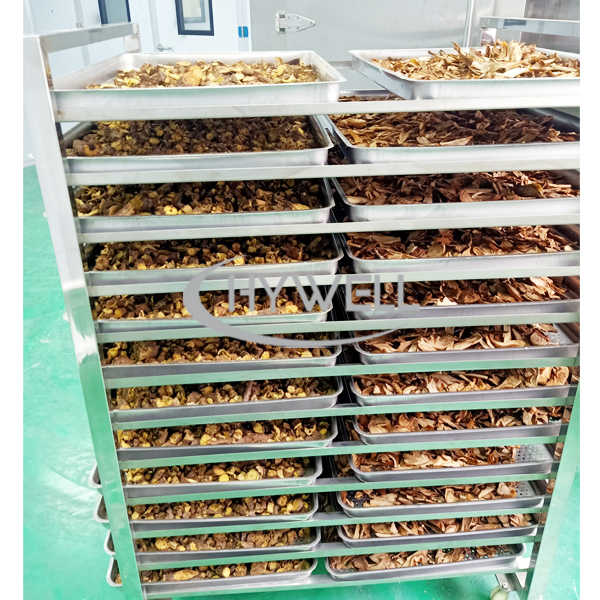 Tray of Drying Oven