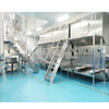 Seasoning Granule Production Line