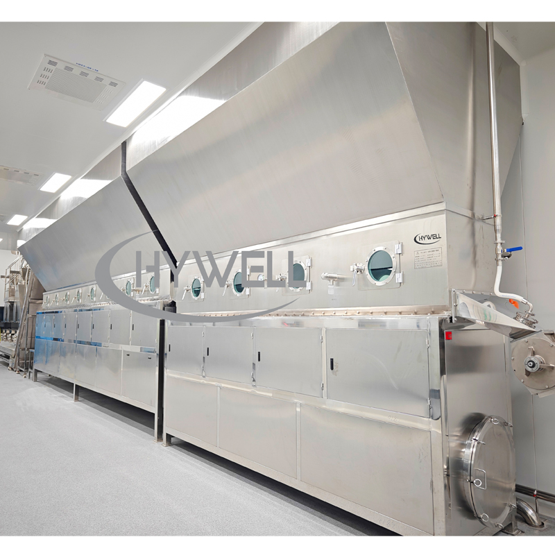 GMP Continuous Wet Granulation Line