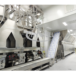 Wet Granulation Line for Seasoning Granule 