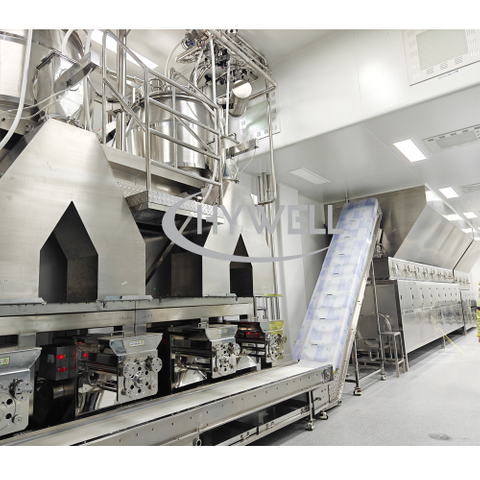 Wet Granulation Line for Seasoning Granule 