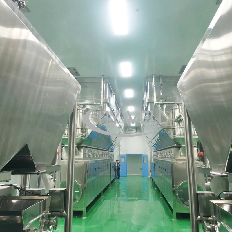 GMP Continuous Wet Granulation Line